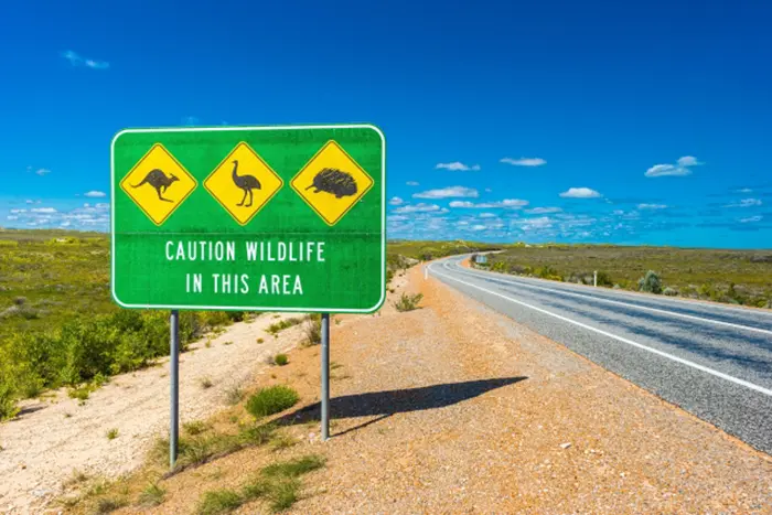 オーストラリアの道路